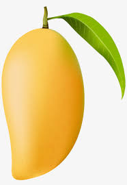 Download it and make more creative edits for your free educational. Mango Png Clip Art Image Mango Clipart Png 428x600 Png Download Pngkit