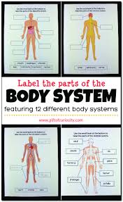 Check spelling or type a new query. Label The Parts Of The Human Body Body Systems Worksheets Human Body Worksheets Human Body Systems