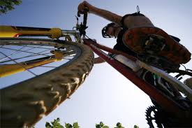 Mountain biking in state forests and parks. Mountain Biking Near The Campsite The Corniche Des Maures