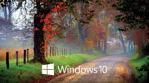 We did not find results for: Windows 10 White Text Logo On The Forest Path Wallpaper Computer Wallpapers 46419