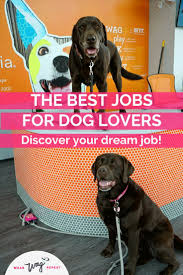 The Best Jobs For Dog Lovers Wear Wag Repeat In 2020 Dog Lovers Dogs Dog Friendly Vacation
