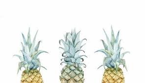 1001 Ideas For Cute Wallpapers That Bring The Summer Vibe In 2020 With Images Computer Wallpaper Desktop Wallpapers Watercolor Desktop Wallpaper Desktop Wallpaper Summer