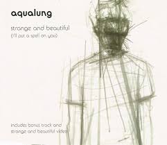 Mom was blessed with both outer and inner beauty. Aqualung Strange And Beautiful I Ll Put A Spell On You 2002 Cd1 Cd Discogs