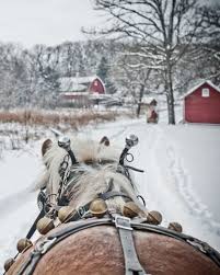 Snow or winter theme video for toddlers or preschool children. 200 Dashing Thru The Snow In A One Horse Open Sleigh Ideas One Horse Open Sleigh Sleigh Winter Scenes