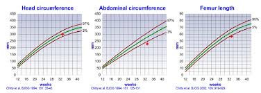 growth and doppler ultrasound maternalfetal