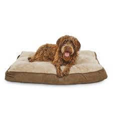 Animaze brown circle bolster dog bed. Brown Memory Foam Rectangular Pillow Dog Bed 30 L X 40 W Petco