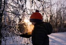 Mar 08, 2017 · cougar house ch. Side View Of Boy Standing By Frozen Bare Tree In Forest During Sunset Stockphoto