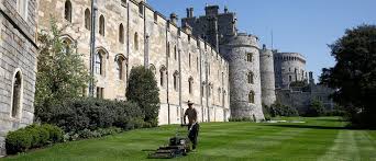 See kirje on märgitud suletuks. A Biodiversity Scientist Explains The Problem With Our Neat Lawns World Economic Forum