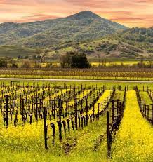 America S Byways Us Scenic Roads 2021 Gourmet Travel Scenic Roads Road Trip Fun Scenic
