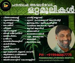 18:06 welcometonature 144 741 просмотр. Mohanan Vaidyar Please Call For Parabrahma Online Facebook