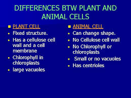 We did not find results for: The Cell N A Cell Is The Smallest