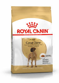 It's best to avoid puppy food and stick with a food designed for all stages of life. Great Dane Adult Dry Royal Canin