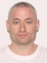 Sex Offenders near Ruediger Elementary School