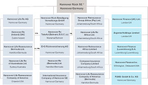 We are committed to the principle of value driven organization that can meet the need of the present generation without compromising. Https Www Hannover Re Com 1265699 2017 Solvency And Financial Condition Report Hannover Ruck Se Pdf