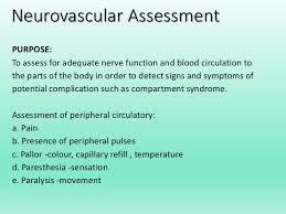 Neurovascular Assessment