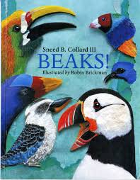 List Birds That Start With B Beaks Cornell Lab Of Ornithology Birdsleuth K 12 Bird Beaks Bird Book What Is A Bird