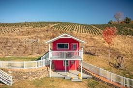 Image result for tbn:0PJB32OL7JwfOM::farm4.static.flickr.com/3324/3329876139_f2d551139f.jpg