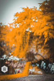 Pinpng.com collects million of free transparent png images, cliparts and icons. Photo Editor Backgrounds Png Home Facebook