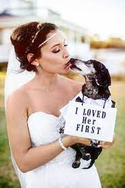4 photo modern typography unique simple wedding save the date. 30 Best Dog Wedding Ideas How To Include Your Dog In Your Wedding