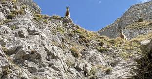 Die sieben hengste, auch sibe hängste, mit dem nordöstlich anschliessenden berggrat gesamthaft auch als solflue bezeichnet, sind ein gebirgsstock der emmentaler alpen im schweizer kanton bern. Sieben Hengste Bergfex Wanderung Tour Bern Amp Region Bern