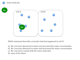 A.) uses no energy and results in an even distribution of molecules? Osmosis Teaching Resources The Science Teacher