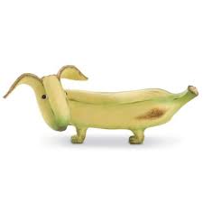 Bananas are high in potassium, magnesium, vitamin b, fiber, and many dogs will enjoy the sweet, starchy flavor of a plain banana, but if you're feeling ambitious, you can. Plantain Stan Banana Dog Banana Art Banana Plantains