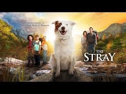 Pelicula Cristiana 2018 Completa En Espanol Latino Youtube Peliculas Cristianas Peliculas El Nino Pelicula