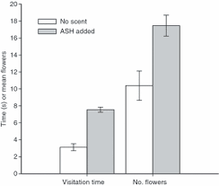 Maybe you would like to learn more about one of these? The Evolution Of Floral Scent The Influence Of Olfactory Learning By Insect Pollinators On The Honest Signalling Of Floral Rewards Wright 2009 Functional Ecology Wiley Online Library