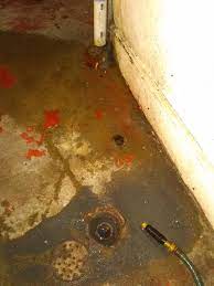 In fact, these specific occurrences can show you which exact line is clogged. Basement Floor Drain Backs Up From Kitchen Drain Are They Connected Doityourself Com Community Forums