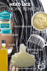 6 Home Remedies For Head Lice Head Lice Remedy Lice Remedies Remedies