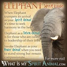What animal do you like the best? Elephant Symbolism Meaning Spirit Totem Power Animal Elephant Spirit Animal Animal Totem Spirit Guides Elephant Symbolism