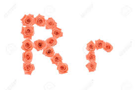 Total number of letters in the alphabet. Letter R Alphabet Made From Orange Roses Isolated On White Background Stock Photo Picture And Royalty Free Image Image 87248029