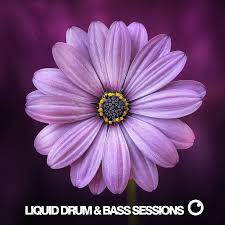 Liquid Drum And Bass Sessions Podcast Listen Reviews