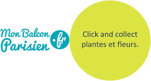 Plantes Pour Balcon