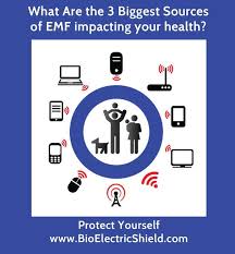Pin On Stress Emf Health