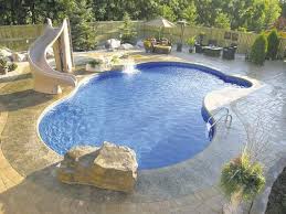 Humpback Kidney Shaped Pool Google Search Saltwater Pool Inground Pool Designs Backyard Pool Designs