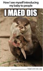 Pin On Funnies