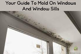 Make a mixture of one part bleach to three parts warm water. Your Guide To Mold On Windows And Window Sills Mold Help For You