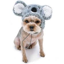 Koala Bear Hat Dog Costume