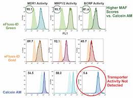 Image result for Multidrug Resistance Score