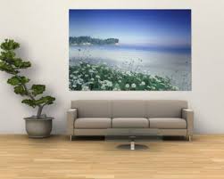 Living Room Living Room Pictures Living Room Paint Wall Stickers Living Room