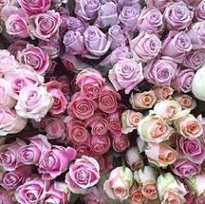 This beautiful flower is an elegant option for a bouquet and boasts an appealing fragrance. 9 Flowers N Gifts Ideas Flowers Beautiful Flowers Pretty Flowers