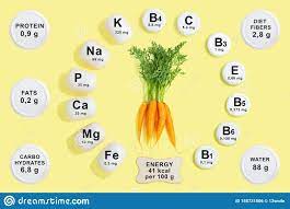 Fragen und antworten zu möhren vitamine karotten nährstoffe möhren mineralstoffe vitamine hoch gesund gemüse recht vitamin vitamingehalt vorstufe. Vitamin Und Mineralzusammensetzung In Der Karotte Stockfoto Bild Von Kreativ Nahrung 155731806