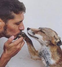 Just loved this post! How cute is it? AMEN? 💞