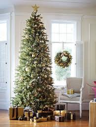 Get into the christmas spirit with our collection of christmas tree pictures and images. Pencil Christmas Tree Ideas A Festive Space Saving Solution