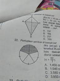 Arsirlah Sepertiga Dari Gambar Berikut Ilmusosial Id