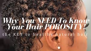 5 tips if you have low porosity hair. Top 5 Diy Treatments For Low Porosity To Moisturize Dry Hair Nia Hope Youtube