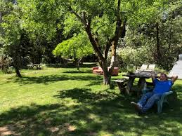 Lucky Penny Laytonville