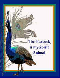 Maybe you would like to learn more about one of these? The Peacock Is My Spirit Animal 2 Smart Grown Up Journals Amazon In Stinson Judy R Up Smart Grown Books