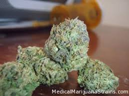 Honestly, i think it depends on the person. Green Crack Review Medical Marijuana Strains